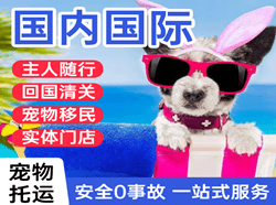 博鳌航空货运国际宠物托运 【国